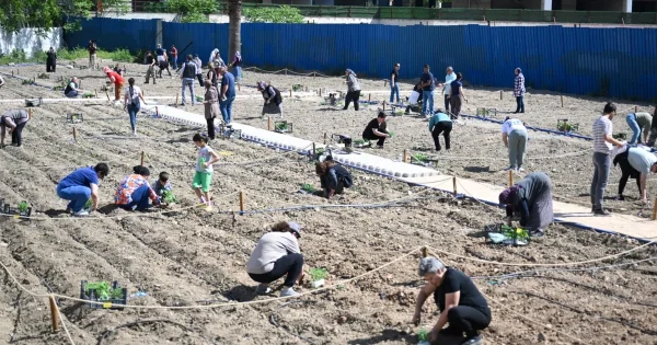 İkinci Kent Bostanı Koşukavak’ta açıldı