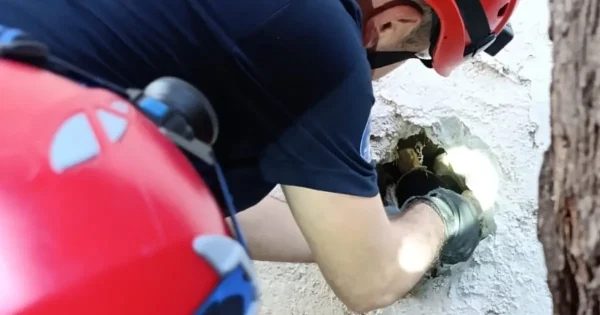 İzmir İtfaiyesi sıkışan kediyi kurtardı!