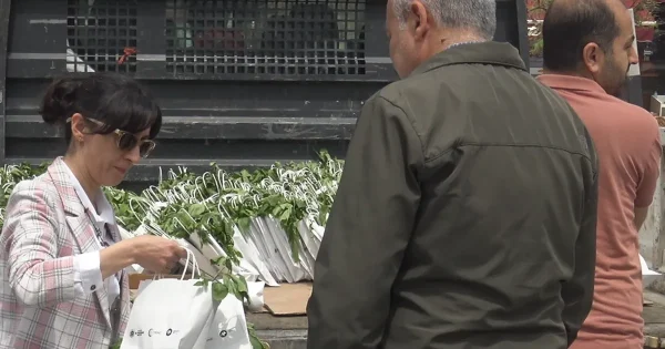 Malatya’da vatandaşlara ücretsiz fide dağıttı